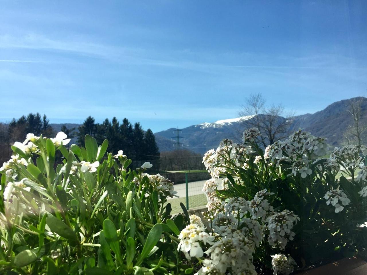 Locanda Chiocciola Quero 외부 사진